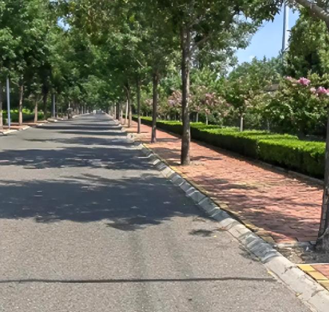 法国姑娘来中国旅游，回国哭了3天，坦言法国与中国差距一目了然