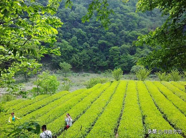 在陇南的夜色里,行走于白龙江畔