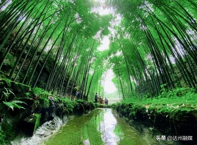 排名公布！宣汉、万源，全国百强！