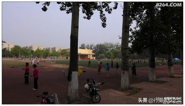 山东行游影记（17）—济南山东大学（四）