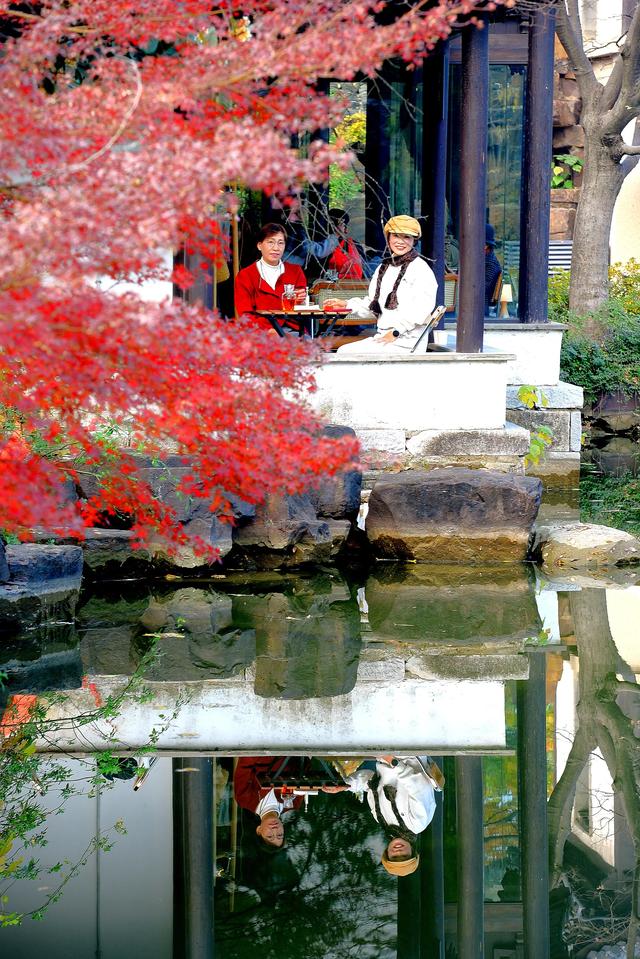 银杏铺金时，赴一场惠山古镇的秋约