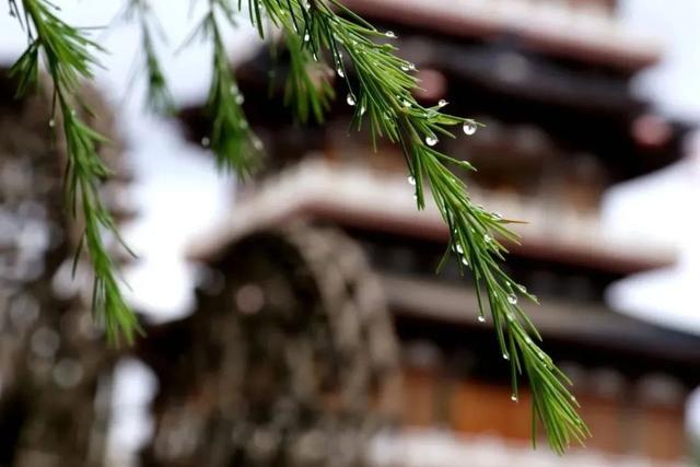 雨润临洮，秋光满故城