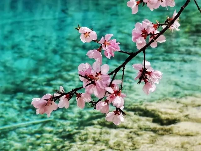 她们说九寨沟烤肠好吃我就来了！