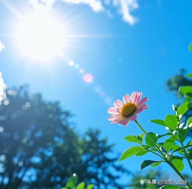 搞定50岁女人最高级的套路：不是讨好，而是让她上瘾的4个暗招！