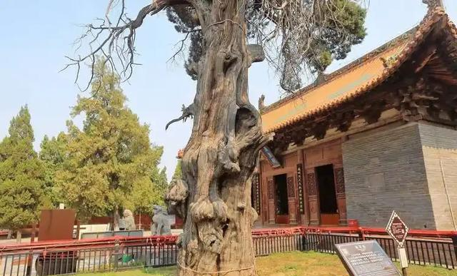 我是芜湖人，刚从河南济源回来！实在忍不住想说：对济源5点印象