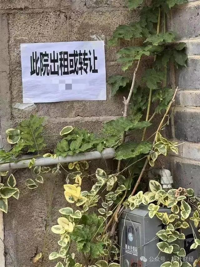 在丽江感受繁华，听当地人讲述焦虑和隐忧