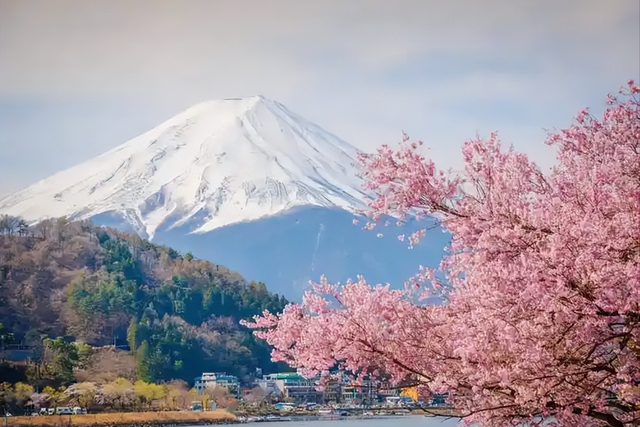 好言难劝该死的鬼？赴日旅游警示下，执意飞日本的国人到底图什么