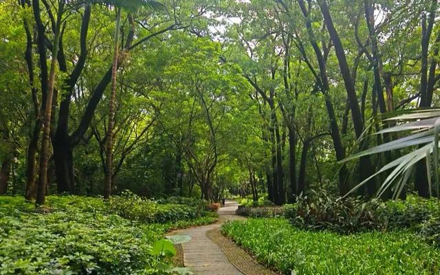 深圳最佳山顶观光平台之一，笔架山顶观光台，罗湖风光太壮观了
