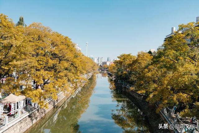 国庆充电选昆明丨秋日必追浪漫清单来袭！让我们在昆明，一起将生活“染”成诗的模样，附攻略→