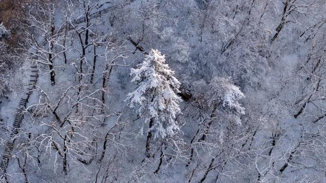 航小天带你看长安 | 雪落终南，千年诗意向云端！