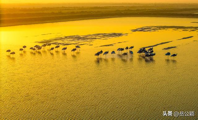 摄影年鉴|2025，我的风光摄影作品——日出日落篇