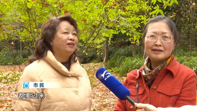 2.5万人!昆明植物园开启“人从众叕”模式,你们被枫叶刷屏了吗?