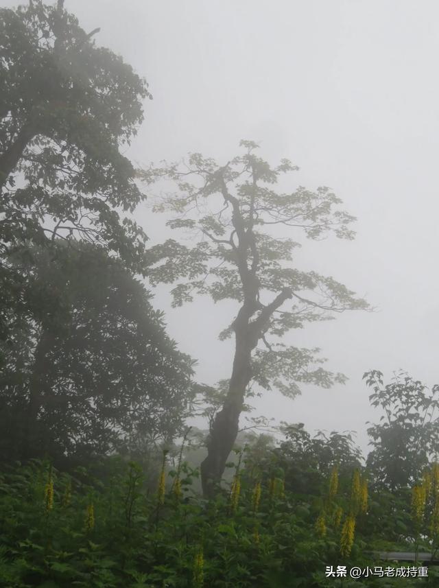 绵阳千佛山爬山笔记