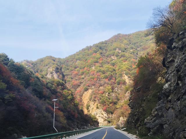 南行漫记：从卢氏走陕西S101红叶大道到南五台服务区露营