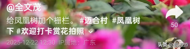 全红婵爸爸用冠军名号赚钱，把流量变成现实红利，网友评论吵翻天