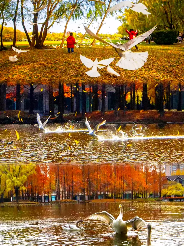 奇观！桃花逆寒盛开！北京的秋冬有多“热闹”——