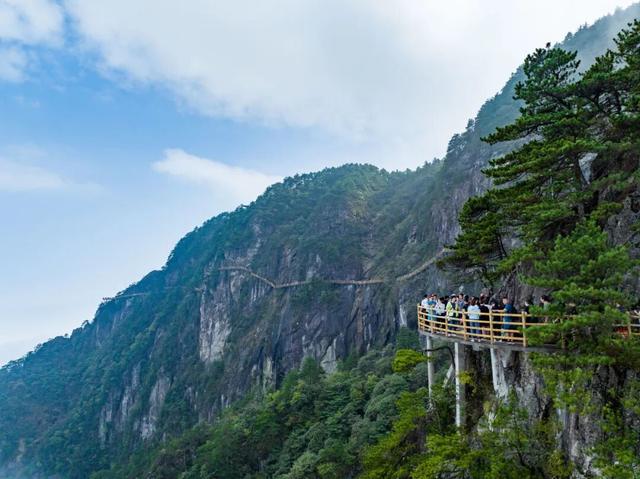 明月山免票福利来啦！三八妇女节邀你一起“上春山”！