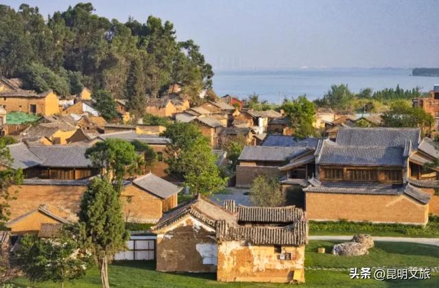 昆明人私藏观鸥地图+观杏！滴滴6折立减35元打车券直接薅