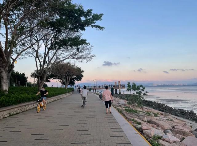 深圳湾畔再添新景