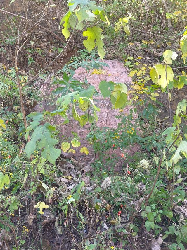 李清喜：岐伯泉游记