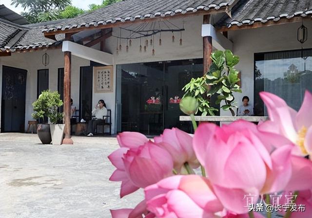 长江大保护十周年·百村蹲点调研行丨“长江第一湾”的回响