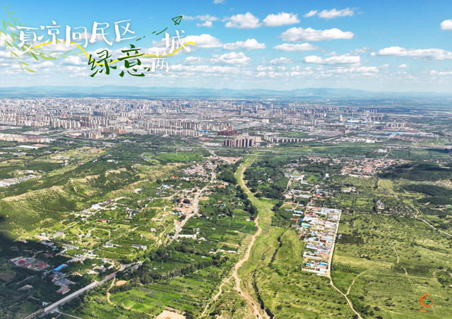 呼和浩特市回民区的夏天，是“植”得N刷的绿！