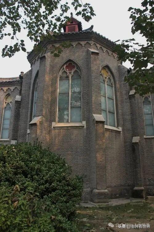 看流苏花到戴庄 || 胡成江