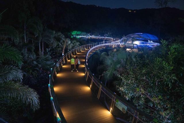 广州亲子研学，夜游植物园，走进大自然的夜课堂