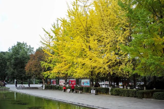 这个“名牌加身”的西南山城，正适合淡季来玩！