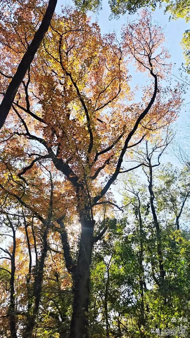 秋染浙西，邂逅烂柯仙境的绝美风光！
