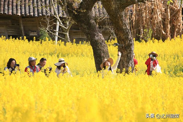 “文旅之廊” 铺开深度融合全新画卷