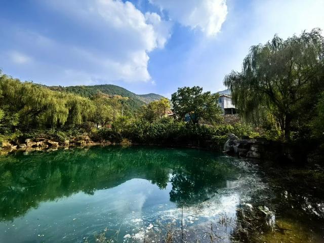 秋访捎近：一树龙吟火满山