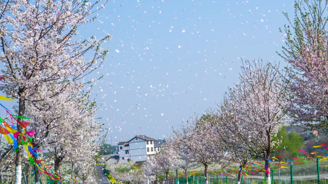 看不完，根本看不完！