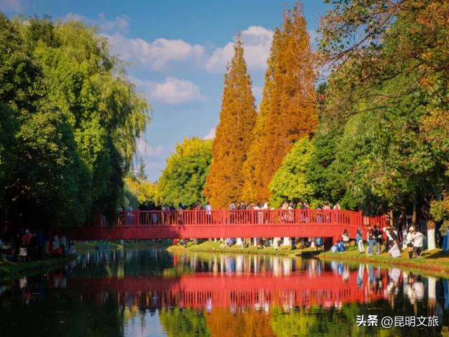 初冬氛围感出片计划，走起！昆明这份打卡攻略速速收藏→