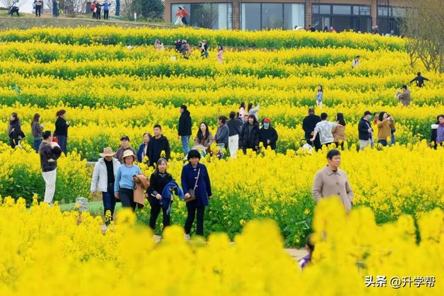 喜讯!瞿上田园正式获评国家3A级旅游景区!