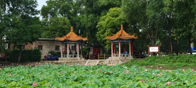 【文明旅游】太原：难老泉润稻荷香