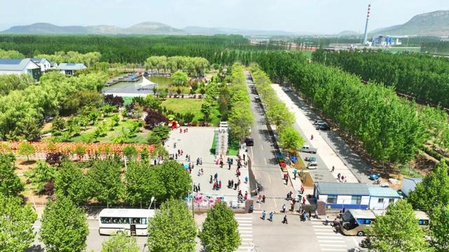 春色染东平，一韵一倾城