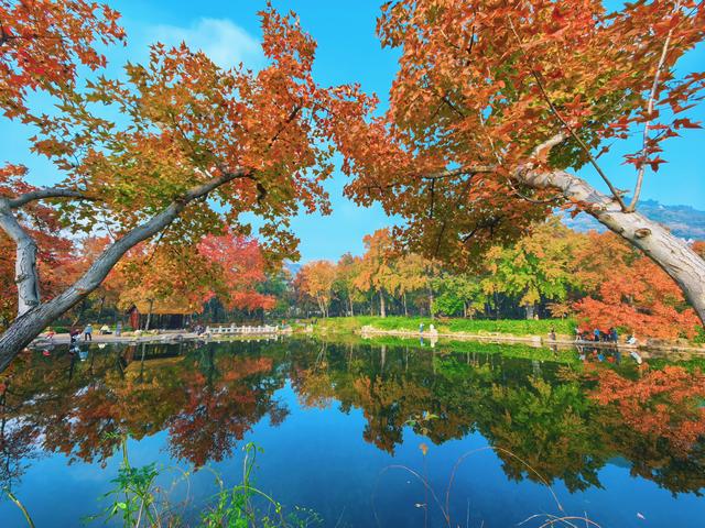 又见天平山：一叶知秋，一枫醉心