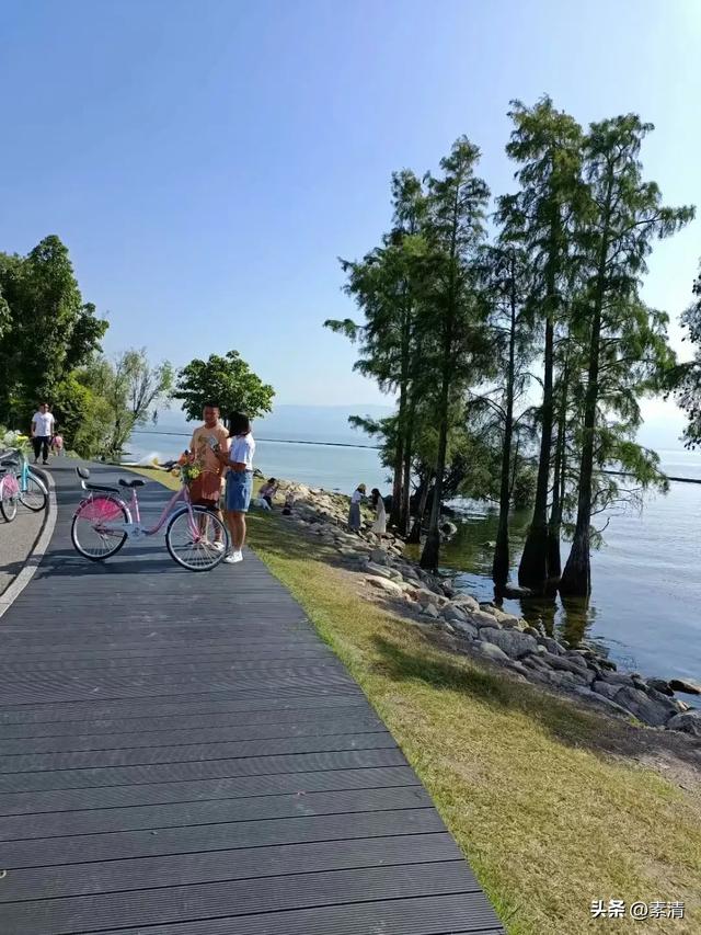 逃离“班味”，邂逅旅行中的本心鱼能量