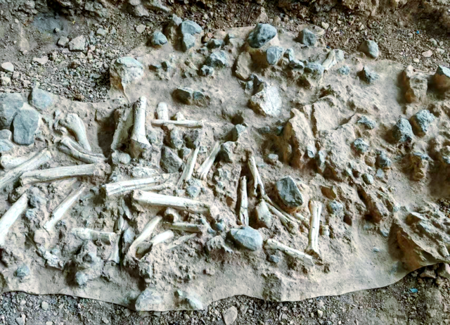 世界上最大的城市，居然在中国！因人口过多，常被误以为是个省！