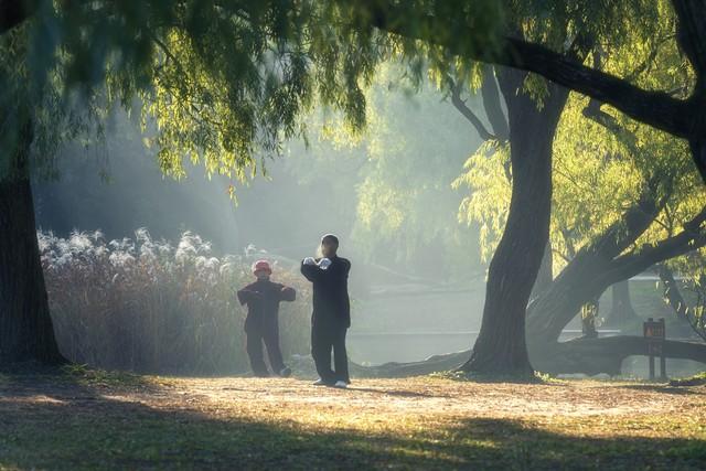 一点领，周身坠：这才是太极劲道的精髓