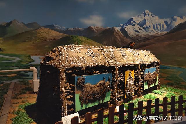 拉萨市：参观西藏牦牛博物馆