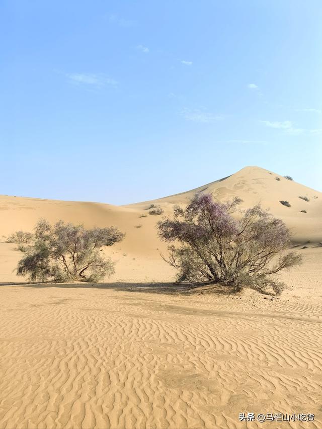 内蒙古小众宝藏旅游地|腾格里沙漠攻略！