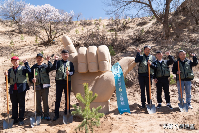 马云斥巨资在沙漠里种树，承诺每年1亿棵，10年过去了，情况如何
