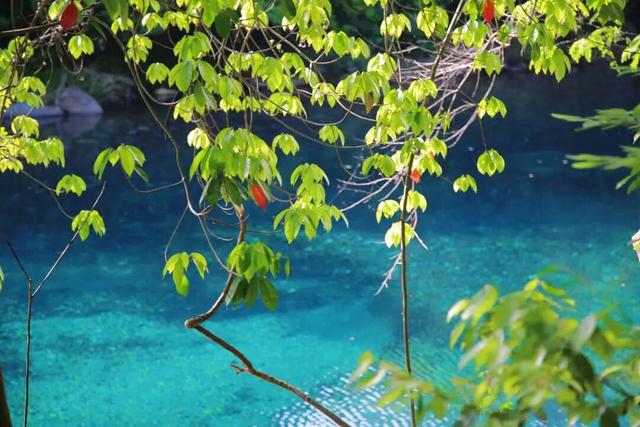 解锁牯牛降的文化密码 | 生态密码：绿色自然博物馆