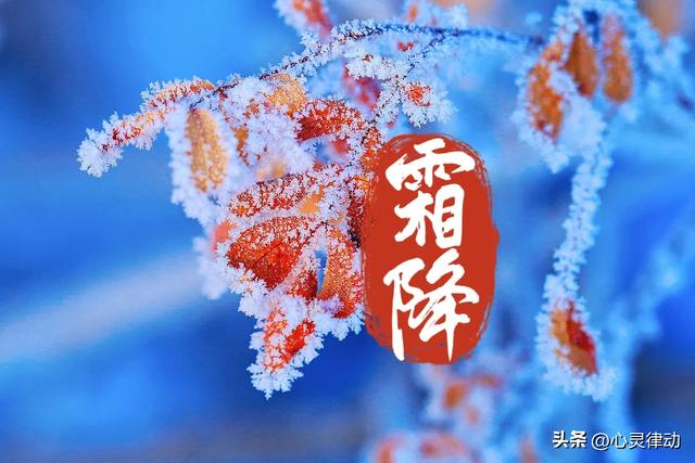 “霜降在月头，大雪封门；霜降在月尾，春节穿袄”,今年霜降在哪?