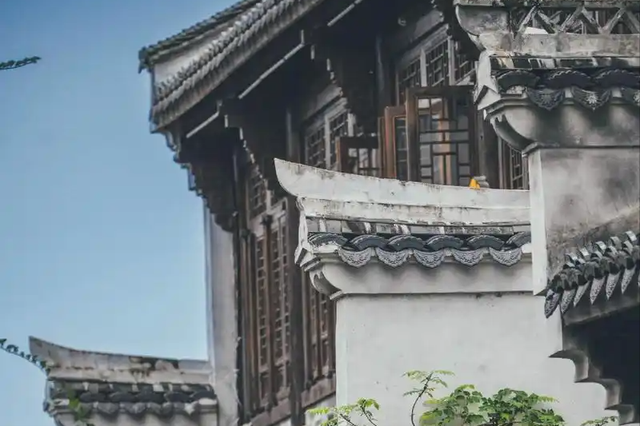 上虞不简单！从舜帝故里到产业新城，这座江南小城藏着多少惊喜？