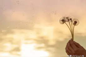 1绝招赶走胡思乱想与内耗，心理学教授的八正法助你解决一切烦恼图片