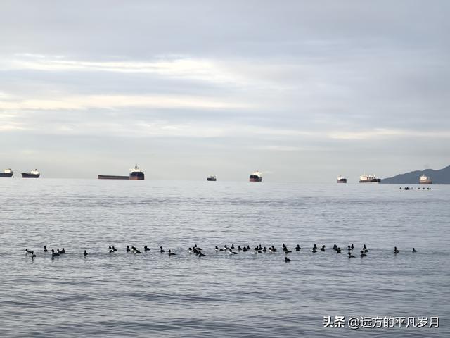 温哥华游记（一）