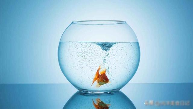 俗语：“东西7不送，送了人财空”，7不送指的是什么？有没有中招